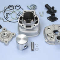 Equipo Motor Polini Piaggio Quartz NRG Zip