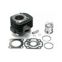 Cilindro Barikit Peugeot