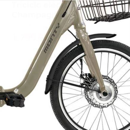 triciclos electricos monty 132 de ocasion