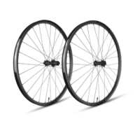 Conjunto llantas Gurpil CARB. GTR SL25 29" DIS.6T BOOST XD