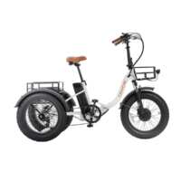 Triciclo Biwbik Khali