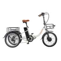 Triciclo Biwbik Paris