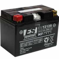 Batería Energysafe ESTZ12-S Precargada