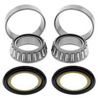 Kit de rodamientos y retenes columna de dirección All Balls 22-1061