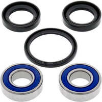 Kit de rodamientos rueda All Balls 25-1077