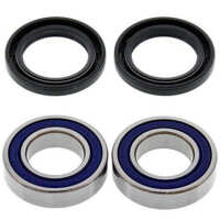 Kit de rodamientos rueda All Balls 25-1079