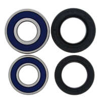Kit de rodamientos rueda All Balls 25-1113