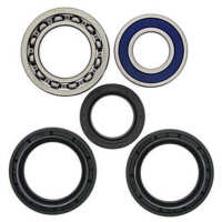 Kit de rodamientos rueda All Balls 25-1139