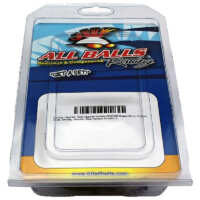 Kit Reparación Bomba Freno All Balls 18-1064